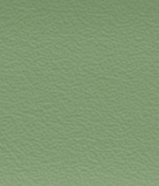 ABS HU 16635 зелено шагрен 22x2